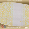 China Supplier Biaolong Factory 3D Wall Paper PVC Sticker